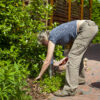 Gardening back pain
